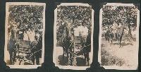 Generated thumbnail: African American Families Photograph Scrapbook page (circa 1920-1960) 055