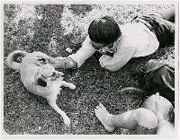 Generated thumbnail: Dogs on campus 04