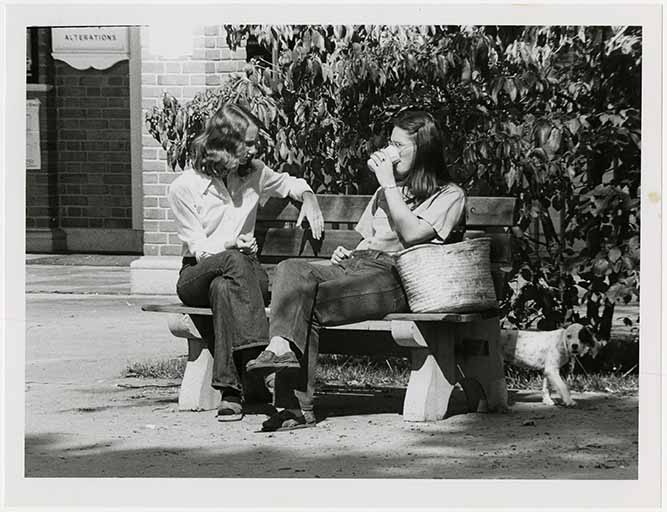 Dogs on campus 05