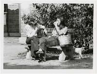 Generated thumbnail: Dogs on campus 05