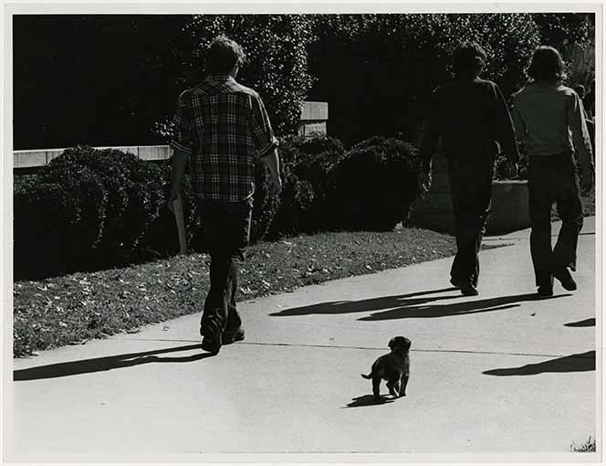 Dogs on campus 06
