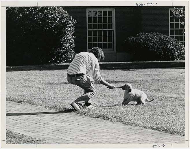 Dogs on campus 19