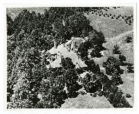 Generated thumbnail: Aerial view of Grayln Estate surrounded by dense trees