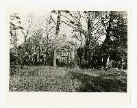 Generated thumbnail: Rear view of Graylyn Estate mansion