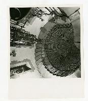 Generated thumbnail: Interior view of spiral staircase and ceiling in Graylyn Estate mansion