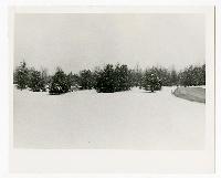 Generated thumbnail: Snow-covered landscape with evergreen trees circa 1940