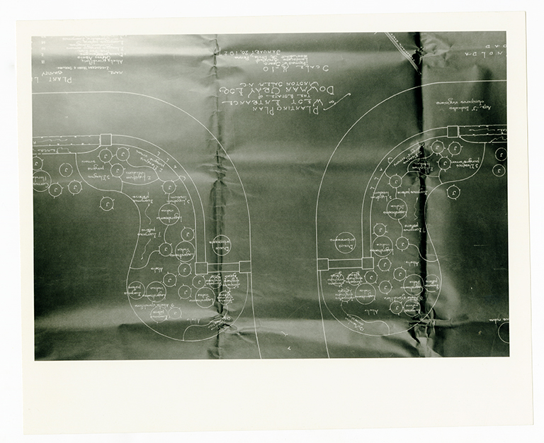 Planting plan for the West entrance of Graylyn Estate
