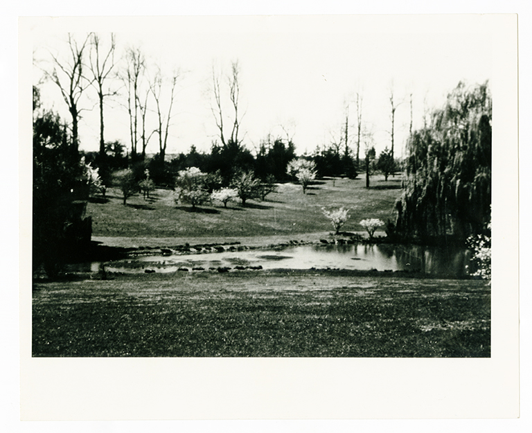 Pond and landscape at Graylyn Estate