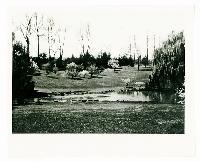 Generated thumbnail: Pond and landscape at Graylyn Estate