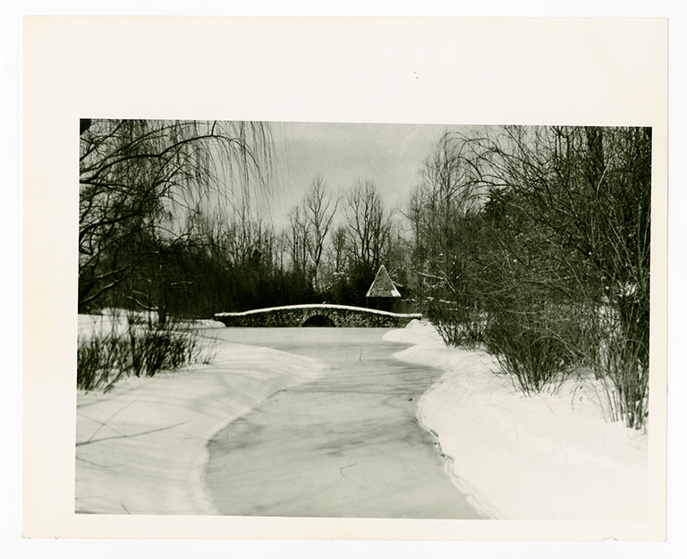 Winter scene at Graylyn Estate
