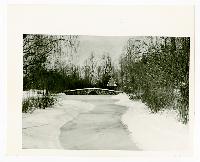 Generated thumbnail: Winter scene at Graylyn Estate