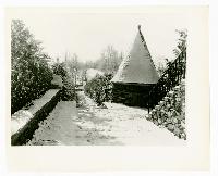 Generated thumbnail: Snow-covered pathway at Graylyn Estate