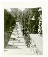 Generated thumbnail: Stone pathway at Graylyn Estate