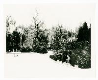 Generated thumbnail: Snow-covered swimming pool and pathway at Graylyn Estate