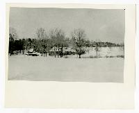 Generated thumbnail: Snow-covered landscape at Graylyn Estate 01