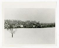 Generated thumbnail: Snow-covered landscape at Graylyn Estate 02