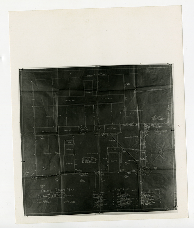 Revised planting plan for Graylyn Estate
