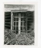 Generated thumbnail: Exterior view of window with ornate iron grilles and shutters at Galloway House