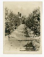 Generated thumbnail: Snow-covered pathway at Graylyn Estate