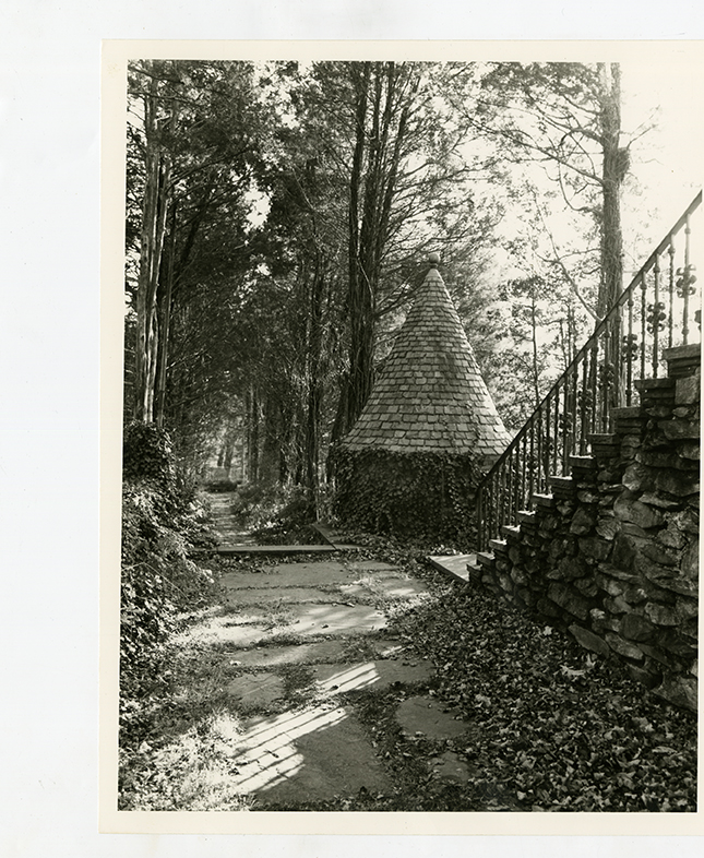 Pathway and ivy-covered structure