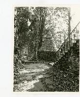 Generated thumbnail: Pathway and ivy-covered structure
