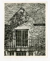 Generated thumbnail: Ivy-covered window