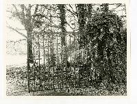 Generated thumbnail: Ornamental gate partially covered in ivy