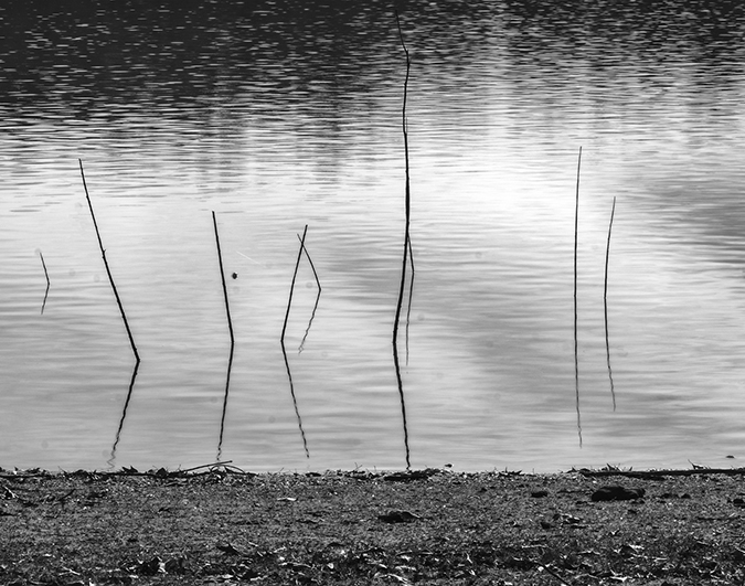 "Lake Bed" (front cover)