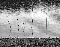 Generated thumbnail: "Lake Bed" (front cover)
