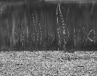 Generated thumbnail: St(i)uck in the mud