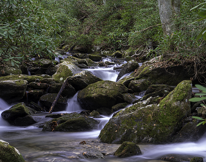 Goshen Stream