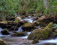 Generated thumbnail: Goshen Stream