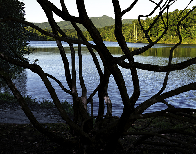 Price Lake Skeleton