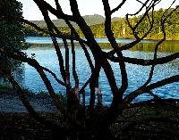 Generated thumbnail: Price Lake Skeleton