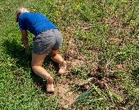 Generated thumbnail: Chasity in the Onions