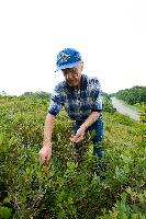 Generated thumbnail: Berry Picker 01