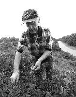 Generated thumbnail: Berry Picker 02