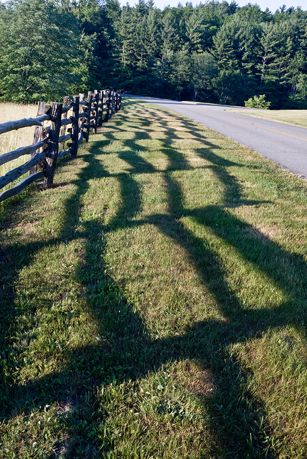 Fence Row 01
