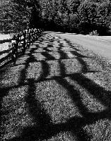 Generated thumbnail: Fence Row 02