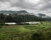 Generated thumbnail: Farm view from roadside
