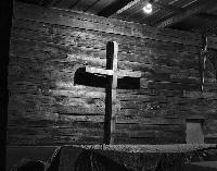 Generated thumbnail: Arbor Cross