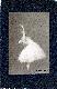 Generated thumbnail: Hoffmann Photograph MS608_3_30_001
