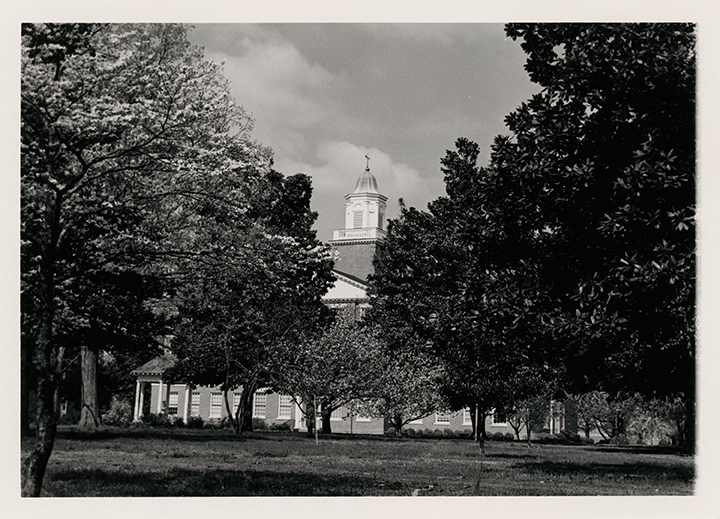 Stealey Hall viewed through the magnolia trees